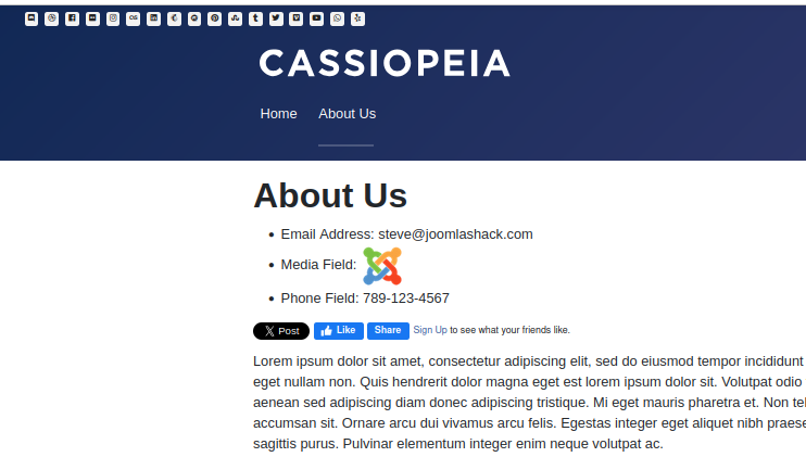 fields displayed in joomla article front end