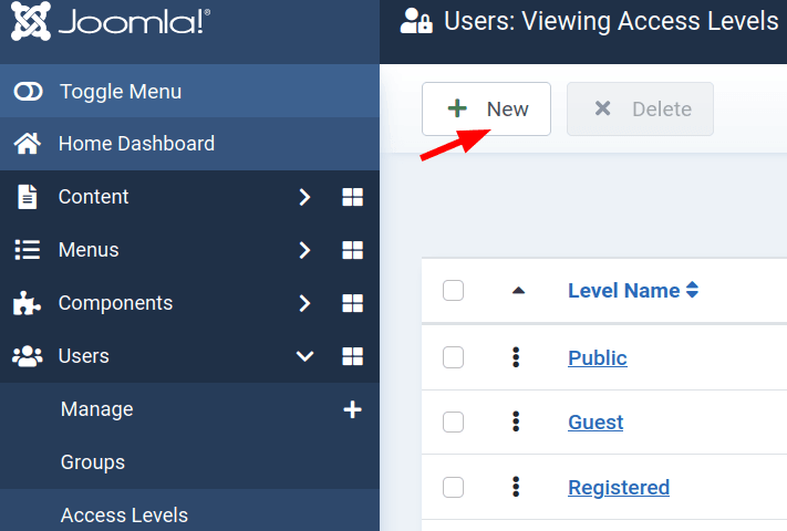 the new button to create a new access level