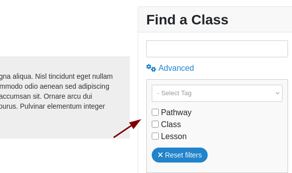 three checkboxes of the advanced filter