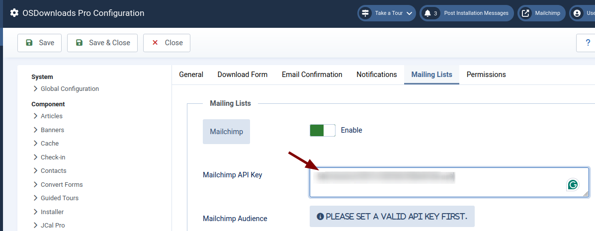 the Mailchimp API key in the Mailchimp API Key box